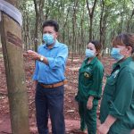 Hoạt động sản xuất kinh doanh thuận lợi hơn trong trạng thái bình thường mới