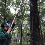 Hạt nhân trong phong trào thi đua vượt sản lượng