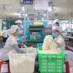 VRG Khải Hoàn nâng công suất nhà máy lên 5 tỷ chiếc/năm