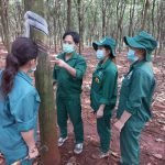 Phát huy truyền thống từ chiếc nôi Phú Riềng đỏ
