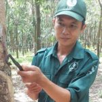 Tự hào lớn lên trong gia đình truyền thống