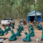 Cao su Tân Biên - Kampong Thom về trước kế hoạch 45 ngày