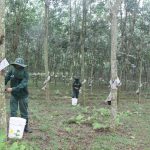 Cao su Sơn La đảm bảo an toàn phòng, chống dịch Covid - 19 để sản xuất