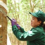 Âm thanh ngày mới