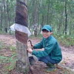 Nữ công nhân điển hình học và làm theo Bác
