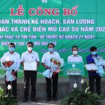 Cao su Lộc Ninh hoàn thành đạt và vượt các chỉ tiêu năm 2021