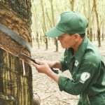 Những con số biết nói