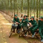 VRG về trước kế hoạch sản lượng 16 ngày