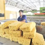 Xuất khẩu cao su tháng 11 tăng nhẹ