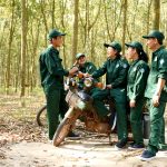 Tổ chức cuộc thi sáng tác Cao su - Đất và Người
