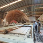 Chuyển hướng rừng gỗ lớn, lợi ích thấy rõ