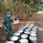 Đội 5 (Cao su Hòa Bình) vượt khó về đích trước 48 ngày