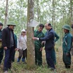 Thanh xuân không hối tiếc!