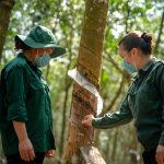Tận tâm với cây và đất