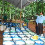 Các đơn vị khu vực Tây Nguyên: Dẫn đầu VRG về tiến độ khai thác