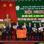 Cao su Bình Long phấn đấu thu nhập người lao động trên 11 triệu đồng/người/tháng