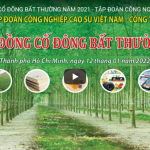 Đại hội đồng cổ đông bất thường VRG 2021- Công ty cổ phần