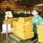Ủy ban Quản lý vốn Nhà nước tại doanh nghiệp: 6 trọng tâm chỉ đạo điều hành thực hiện Nghị quyết của...