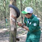 Phát động sâu rộng phong trào luyện tay nghề, thi thợ giỏi
