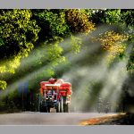 Khi đất cao su đã hóa tâm hồn
