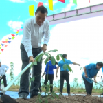 Năm 2022, Cao su Tân Biên tái canh 193 ha