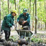Tự hào truyền thống, ngời sáng tương lai