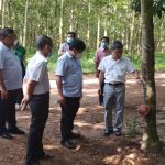 Chủ nhà Dầu Tiếng ráo riết chuẩn bị