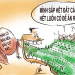 Ngày hội