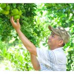 4 giải pháp cho nông nghiệp Tây Nguyên