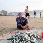 Nụ cười người miền biển