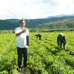 Khúc tráng ca cao su Tây Bắc: [Bài 3] Tiếng reo vui ở Mường Trời