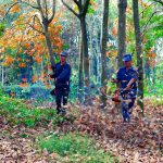 Bừng khởi sắc xuân