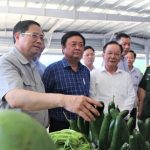 Xuất khẩu nông sản phấn đấu đạt 55 tỷ USD
