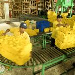 Cơ cấu lại sản xuất, tạo nguồn cung bền vững để xuất khẩu tăng ổn định 6 - 7%