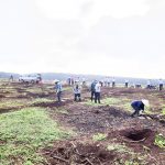 Cao su Bà Rịa ra quân tái canh năm 2022