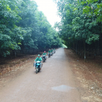 Buổi sáng trên nông trường