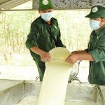 Ảnh dự thi Nét đẹp lao động