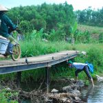 Cây cầu nghĩa tình