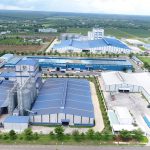 VRG phấn đấu mức lợi nhuận trước thuế 6.480 tỷ đồng