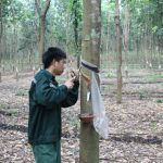 Đất và người ở Sơn La