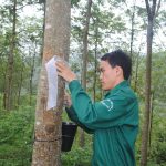 15 năm trên vùng đất phi truyền thống