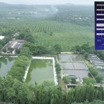 Xử lý nước thải không dùng hóa chất