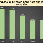 Nền kinh tế cao su của Indonesia đang thu hẹp?