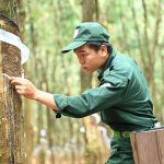 Lần đầu tiên đi thi thợ giỏi đã ẵm giải cao