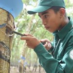 Thợ giỏi Tân Biên Kampong Thom kiên trì rèn tay dao