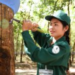 Giải cao nhờ đường cạo đẹp