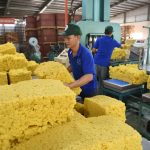 Khai thác tối đa nguồn lực, đảm bảo có tăng trưởng so với năm 2021