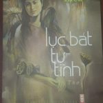 Đắm say câu lục bát tự tình