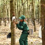 Hào hứng tranh tài tại Hội thi Bàn tay vàng lần đầu tiên