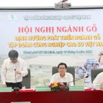 Tập đoàn sẽ xây dựng thương hiệu gỗ VRG